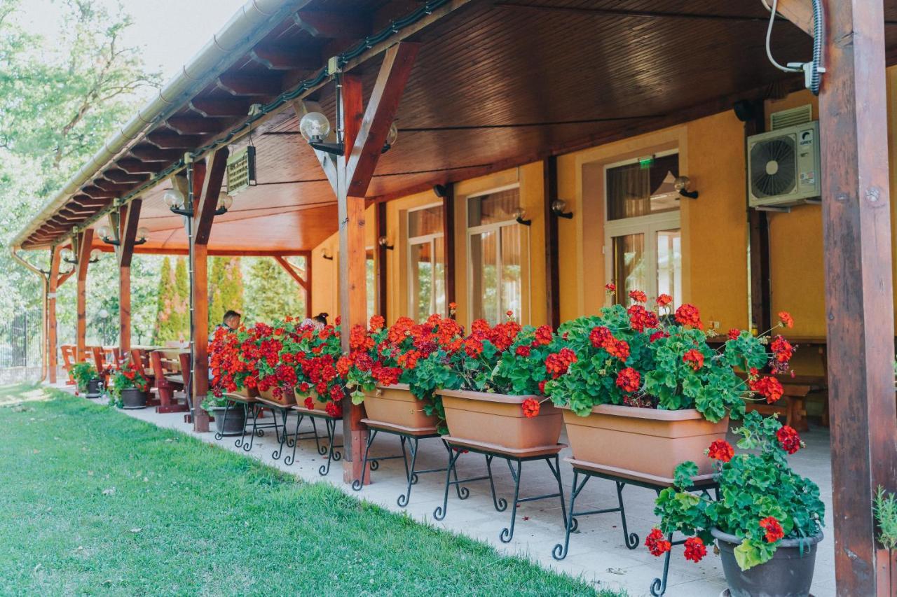 Metropol Otel Băile Felix Dış mekan fotoğraf