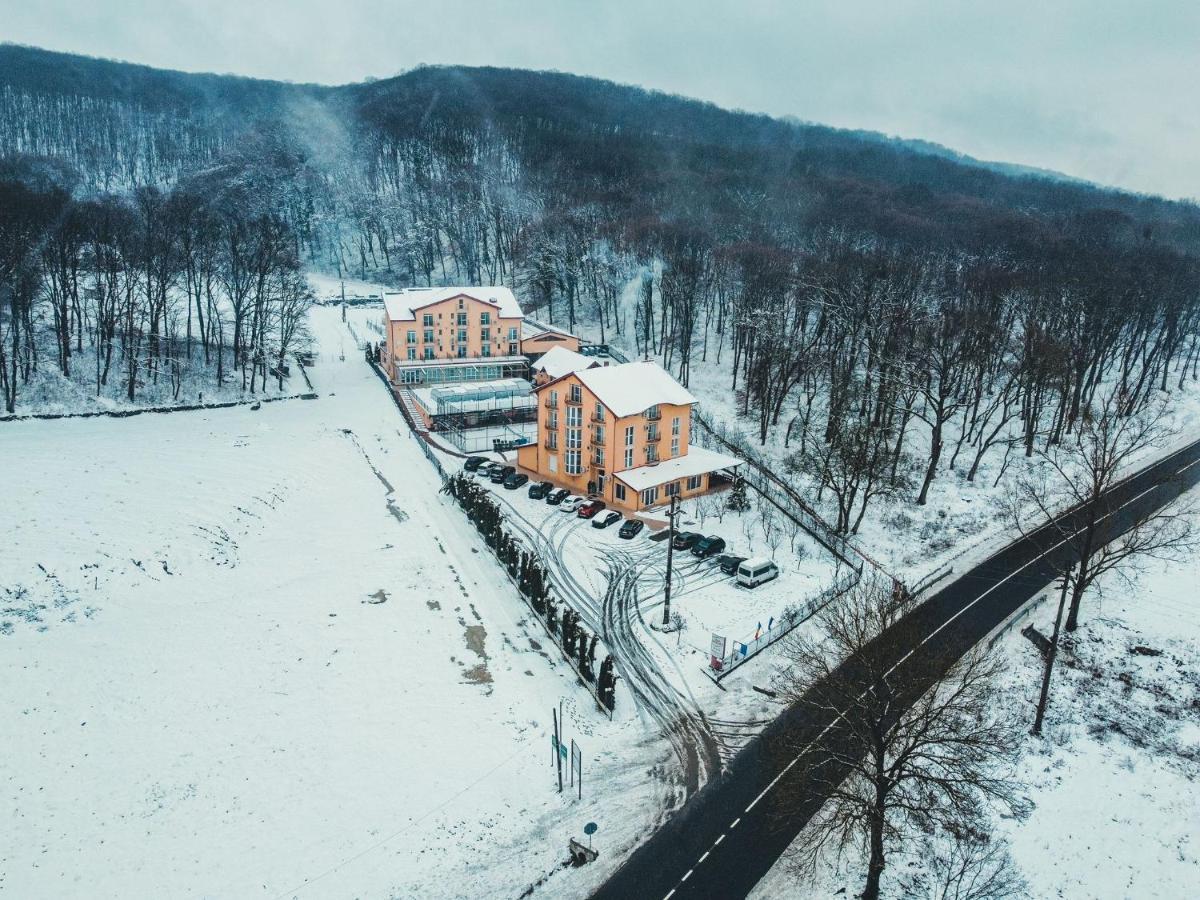 Metropol Otel Băile Felix Dış mekan fotoğraf