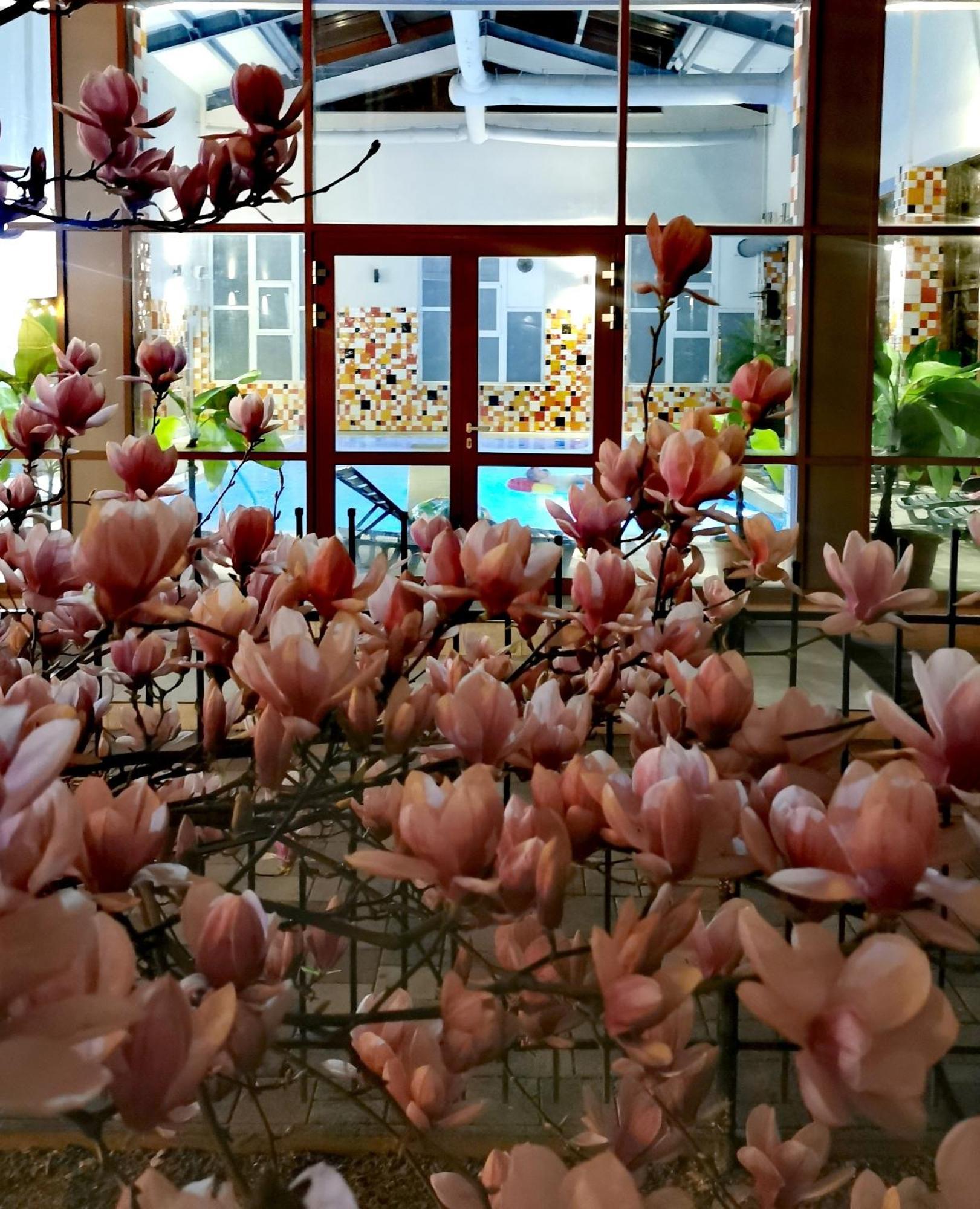 Metropol Otel Băile Felix Dış mekan fotoğraf